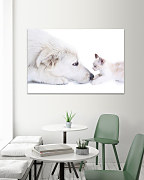 Obraz Mačiatko a pes